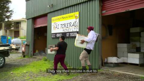 Video for Tai Tokerau Honey Ltd wins supreme at Māori Women&#039;s Development Inc Awards