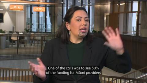 Video for Disparity in numbers of Māori vs Pākehā removed by Oranga Tamariki examined