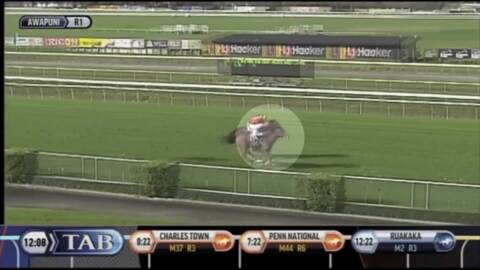 Video for Racehorse falls, gets left behind, recovers, then races to victory