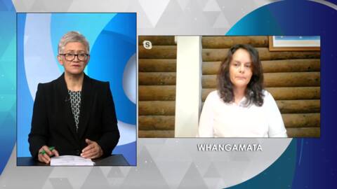 Video for Julia Steenson of Ngāti Whātua appointed to Royal Commission