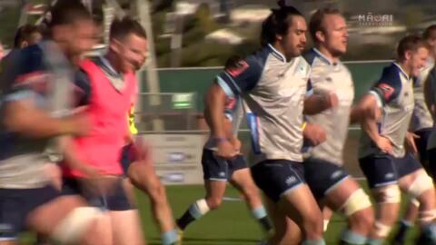 Video for Northland Taniwha draw on Tāne Mahuta for Mitre 10 Cup inspiration