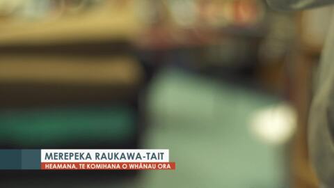 Video for ‘Tikanga before taking’ a focus of Māori-led Oranga Tamariki inquiry - Jackson  
