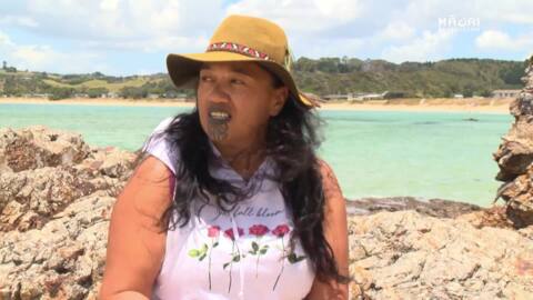 Video for Rāhui not respected at Northland’s Mermaid Pools