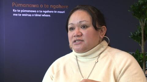 Video for Māori-led project proposed for whānau of tamariki in State care