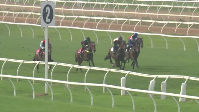 Cranbourne Jump Out 12 - 23.03.2026