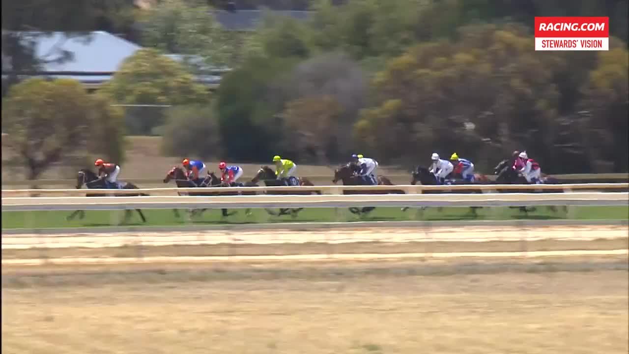 Echuca Car Racing Echuca Race 02-Stewards Vision-04-12-19 | RACING.COM