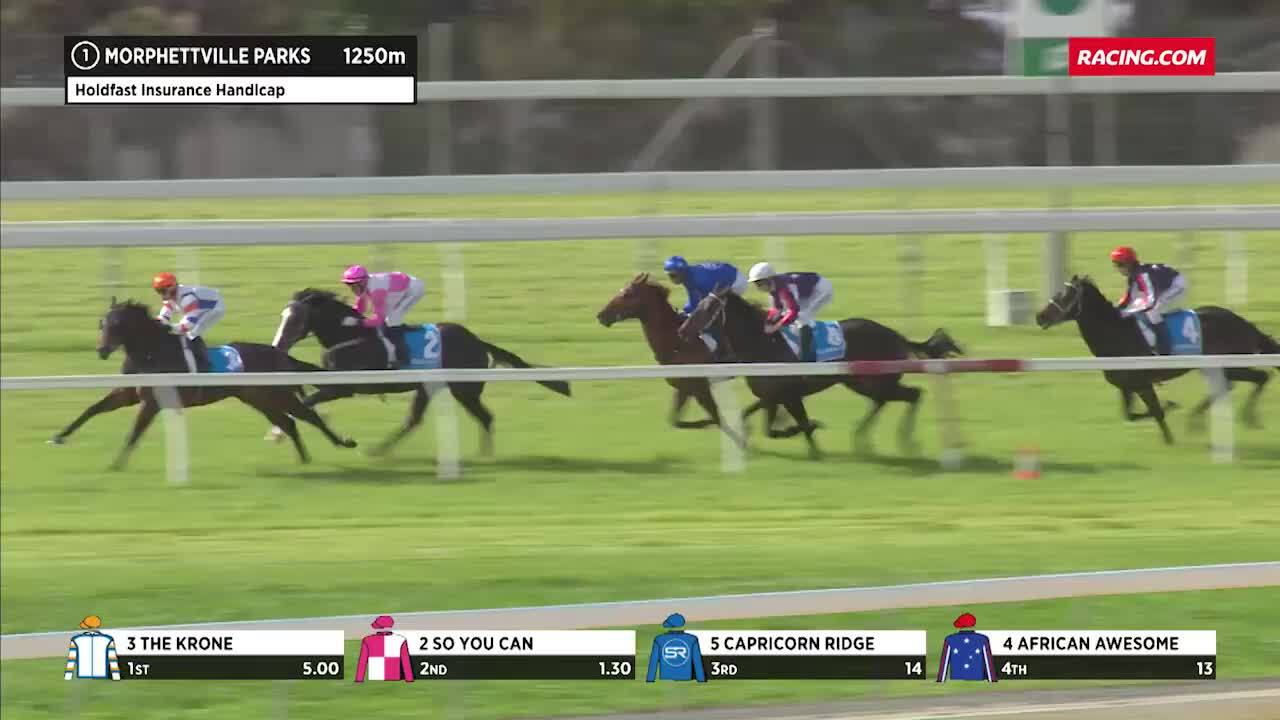 MORPHETTVILLE PARKS RACE 3 FORM GUIDE visual data 4