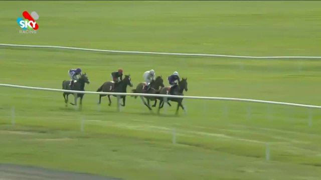 Absurde | Irish St Leger Trial