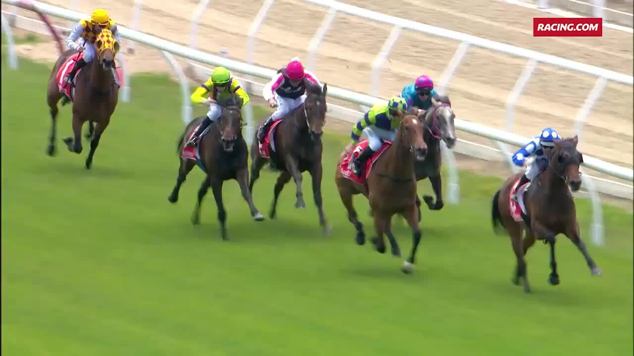 Mornington Race 1 Wylie Dalziel 061219 Mornington Race 1 Wylie Dalziel 061219