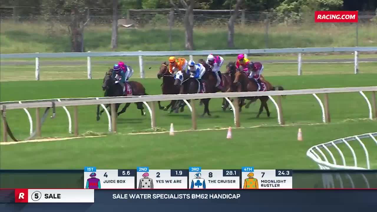 Sale Races Live Racing.com
