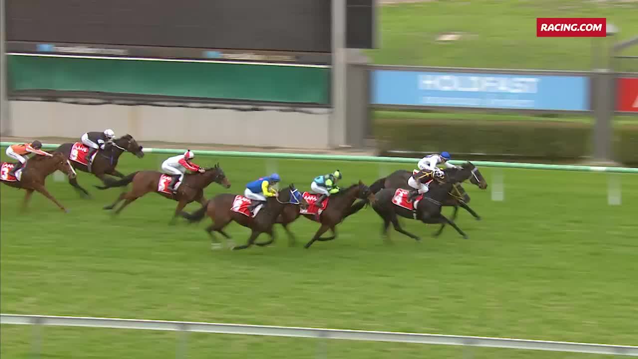 MORPHETTVILLE PARKS RACE 3 FORM GUIDE visual data 8