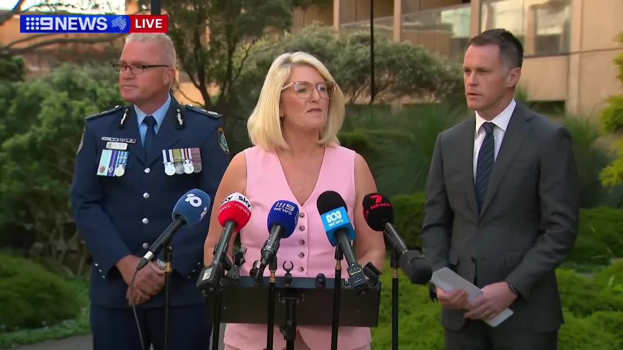 Mal Lanyon, Chris Minns and Yasmin Catley spoke about Lanyon's appointment address. (Credit: Nine)