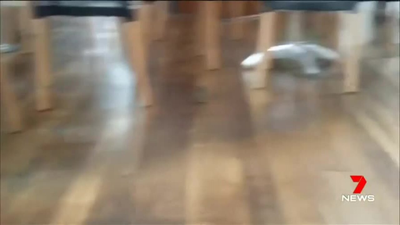 Rat Filmed Running Into Garden City Sushi Restaurant Kitchen
