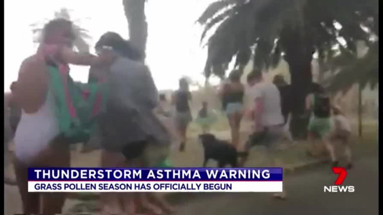 Thunderstorm asthma in focus as pollen season hits Victoria | 7NEWS