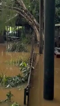 Heavy Rainfall Floods Byron Bay Wildlife Sanctuary | Townsville Bulletin