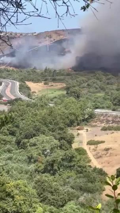 Brush Fire Prompts Evacuations in San Diego | The Chronicle