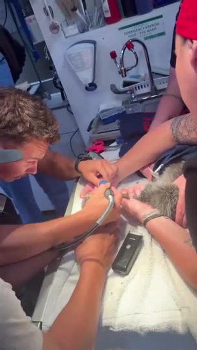Tattoo Artist Porn GIF #84
