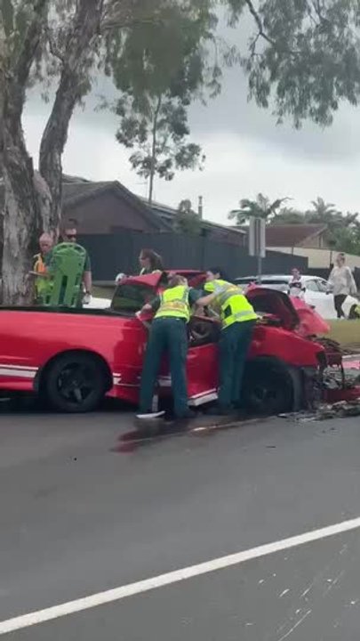 Two critical after ute slams into tree | Gold Coast Bulletin