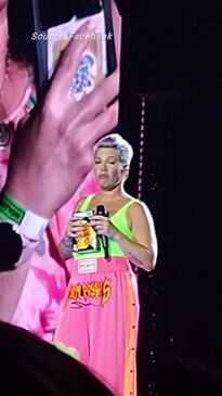 Guide to P!nk's last Brisbane Suncorp Stadium show: tickets setlist
