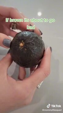 Lockwood General, Cachemira, Beerenberg Farm: Best brunch Adelaide