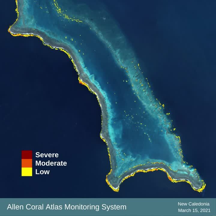 从太空中发现珊瑚白化 Betway必威官方
