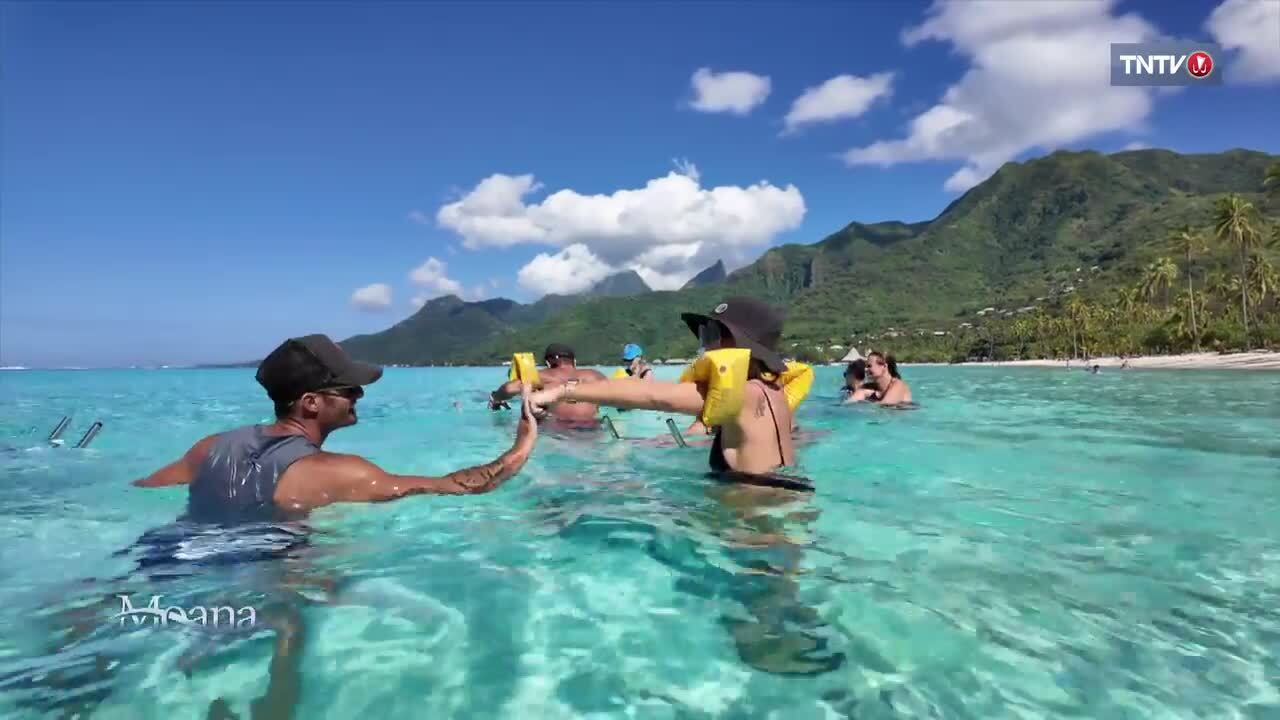 Moana du 23 mai : Yann, coach sportif à Moorea • TNTV Tahiti Nui Télévision