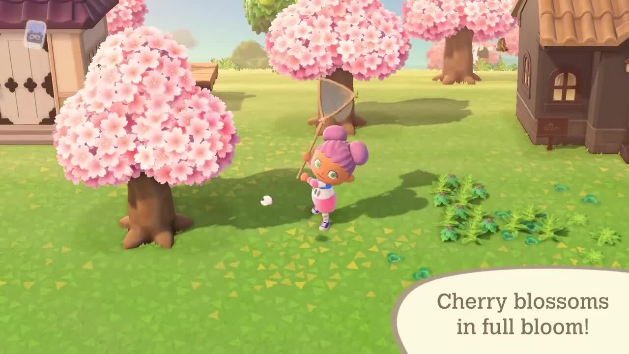 Animal Crossing New Horizons Exploring April Play Stuff