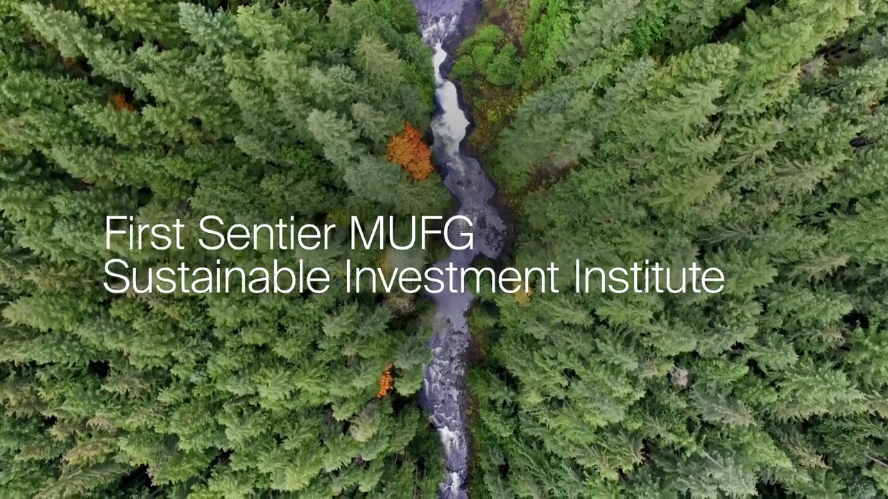 Sustainable Investment Institute