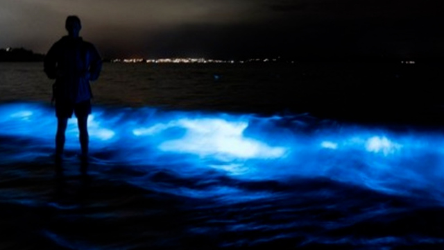 Pictures: Glowing Blue Waves Explained