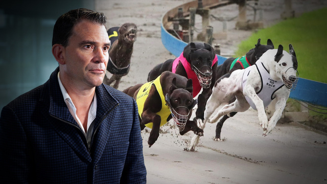 adoption month greyhound racing adoption