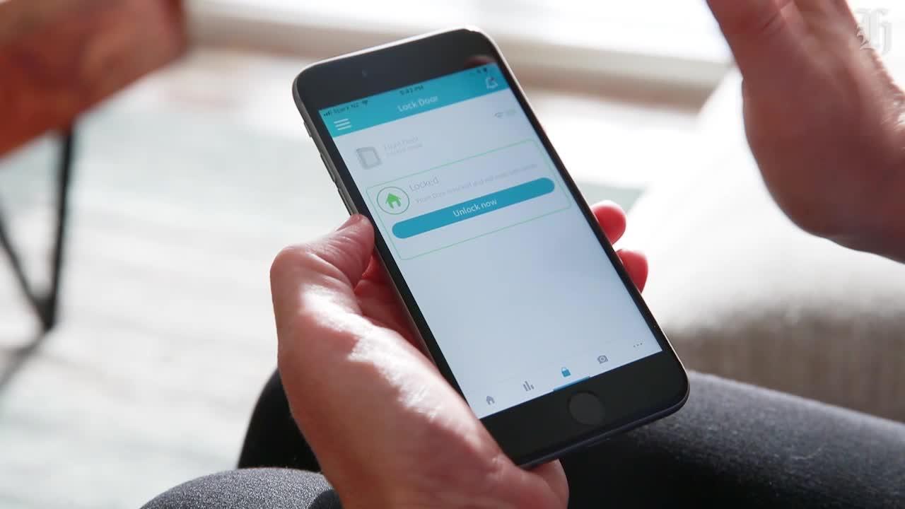 Big brother watching cats and dogs but it's for their own good