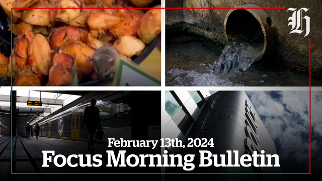 Train cancellations mental health call outs and rodent issues Focus Morning Bulletin February 13 2024