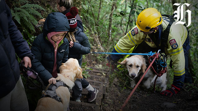 Pet dog rescued from Ashley Gorge waterfall loop=