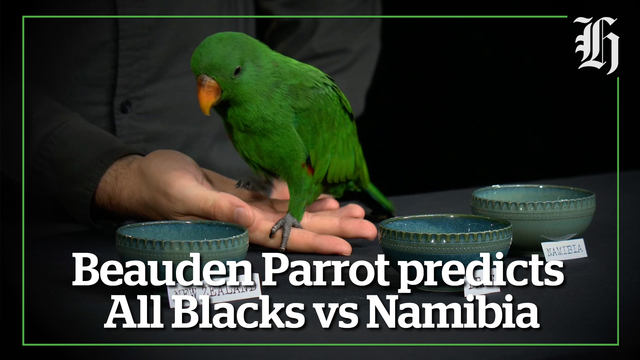 Namibia Rugby World Cup Streaming Shop Today's Rugby Matches On Tv