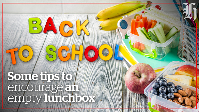 Back to School Guide: Lunch Packing Made Easy - Findlay Family