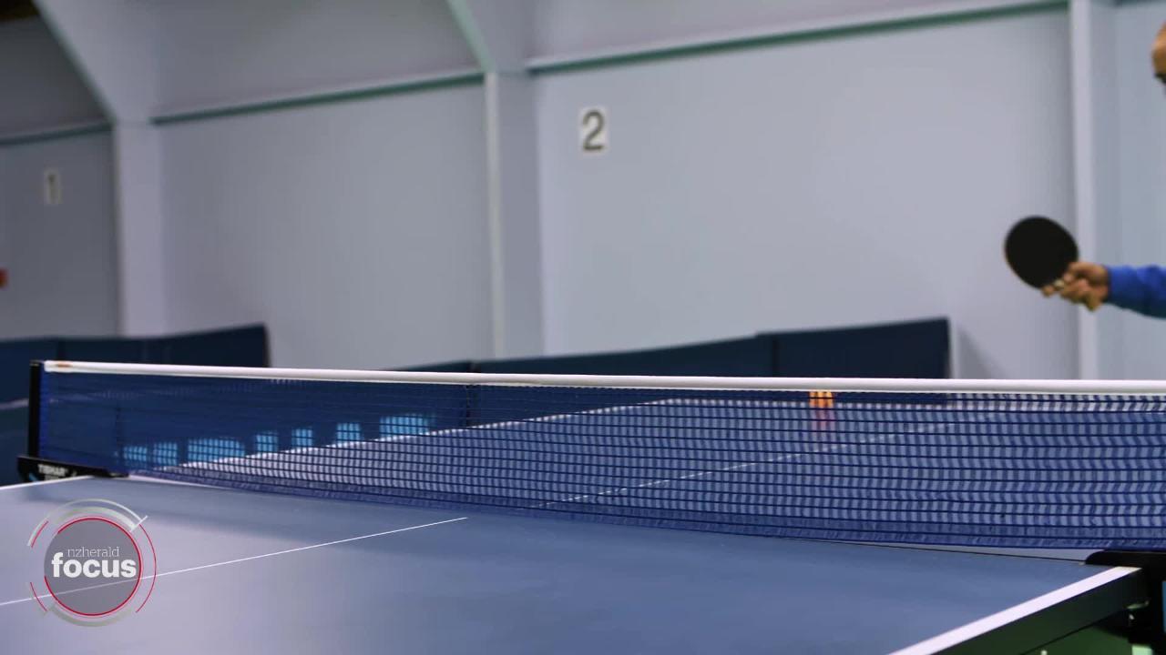 The great political ping-pong tournament: The octopus who became a shark -  NZ Herald