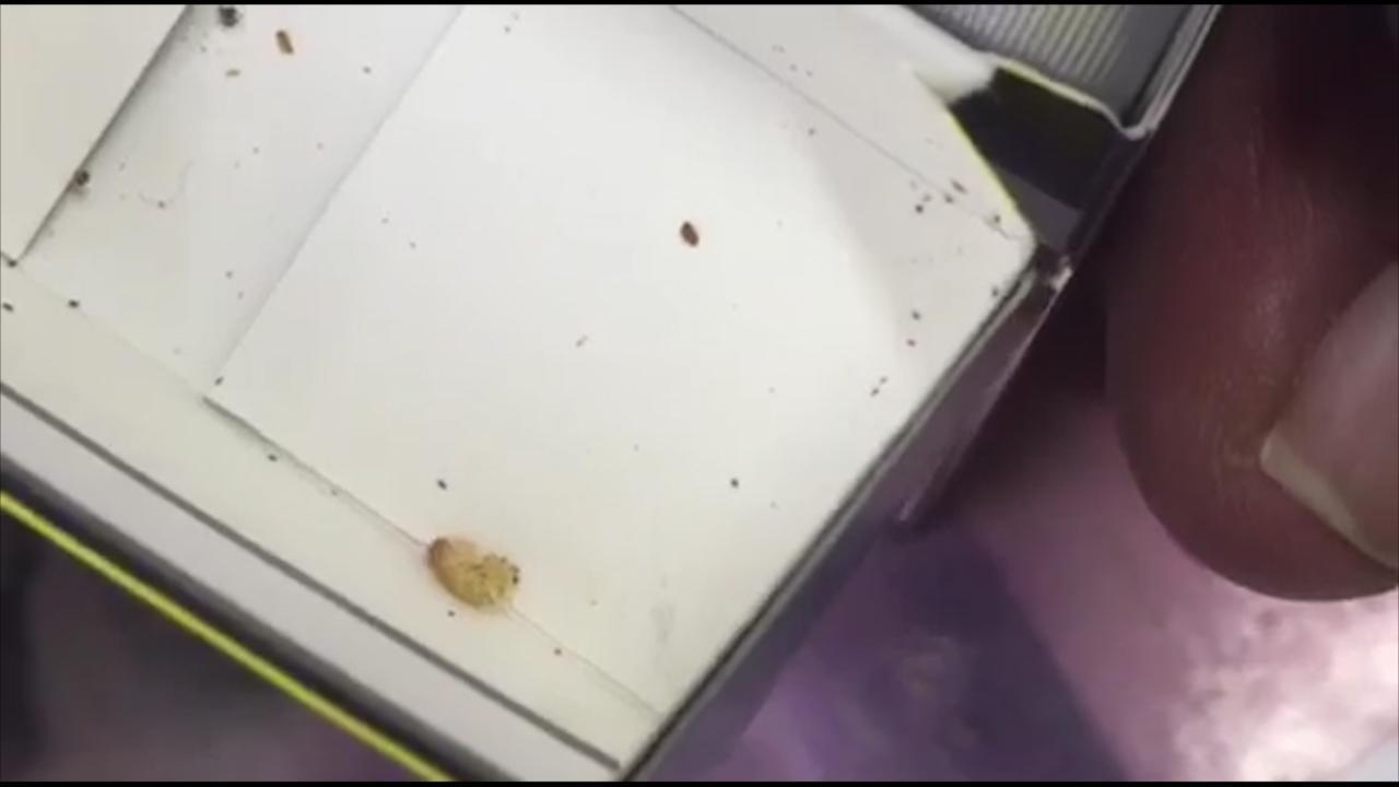 what happens when you flush a cigarette Smoking: Effects, Risks, Diseases, Quitting & Solutions