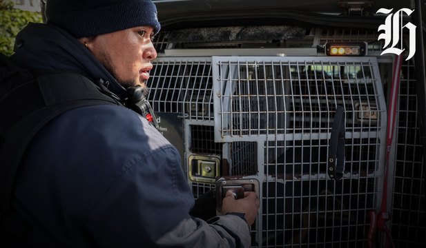 Auckland Council animal management dog control workers battling