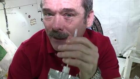 Crying Orbit Crying In Space Astronauts