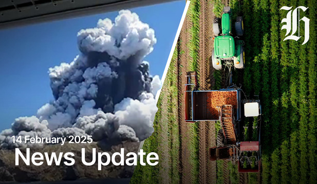 Auckland dog ill after eating dead eel; positive ammonia result