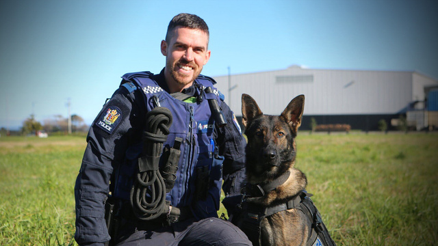 How Do You Become a Police Dog Trainer: Expert Tips Revealed