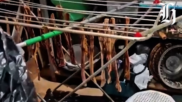 Chinese restaurant shut down after pigeons served as 'roast ...