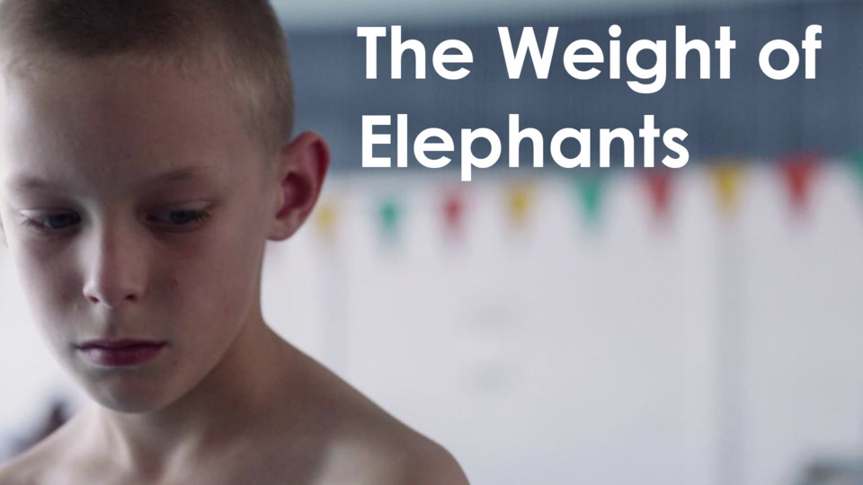 Video for The Weight of Elephants