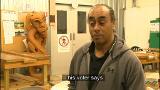 Video for Kāore ngā kaipōti o Tāmaki Makaurau e hiahia ana kia tūraki o rātou tūru