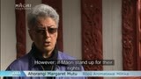 Video for Māori should utilise the UNDRIP - Professor Mutu