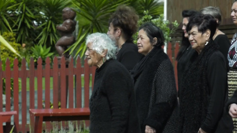 Video for Māori Development Minister launches Housing First in Rotorua 