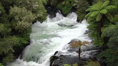 Video for Freshwater to return to Te Awa o Ngātoroirangi
