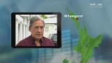 Video for  Winston Peters reaffirms push to eliminate Māori seats 