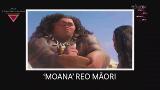 Video for Ngā Tohu Reo Māori 2017, Moana Reo Māori