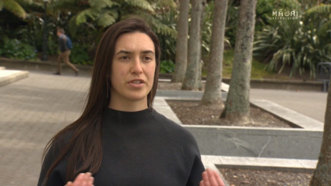 Video for Zero Carbon Bill - Māori concerns addressed 